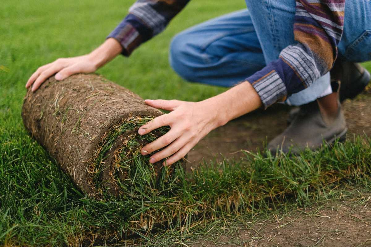 Mann bedient einen roten Minibagger und bewegt Erde auf einer Gartenfläche.