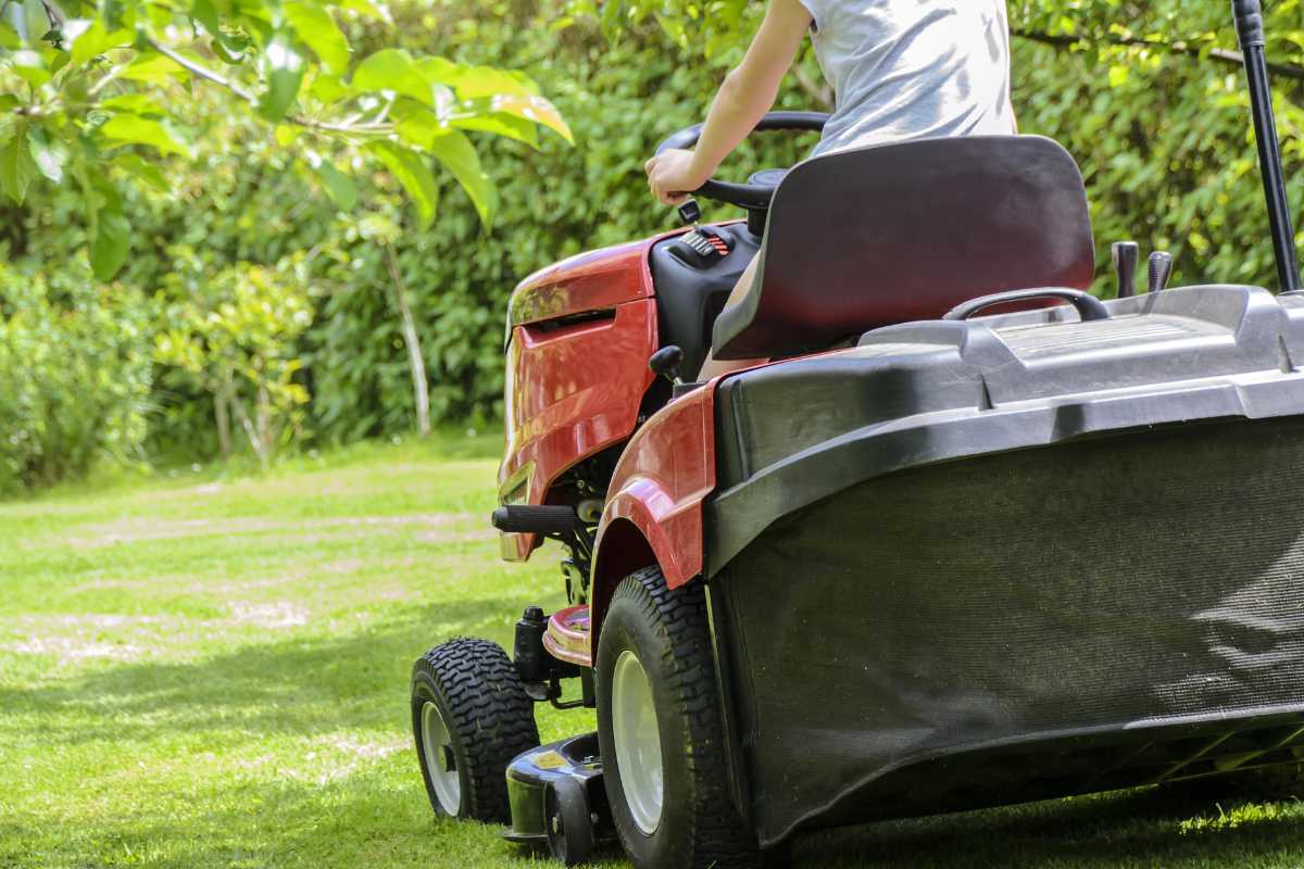 Mann bedient einen roten Minibagger und bewegt Erde auf einer Gartenfläche.